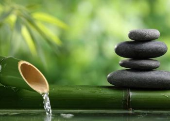 Stack Nedir? C# Stack Sınıfı Kullanımı