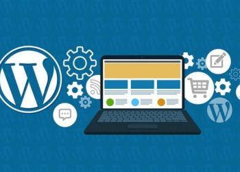 Wordpress Seo Eklentileri