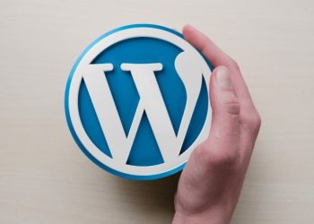 Wordpress Site Hızlandırma