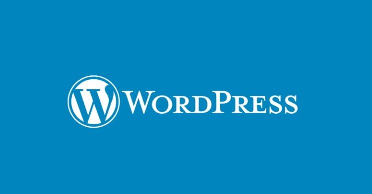 WordPresste Yazıya Nasıl Buton Eklenir?